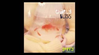 Charly Bliss  DQ Audio [upl. by Aihtnic]