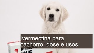 Ivermectina para cachorro  Para que serve e COMO USAR [upl. by Domineca]