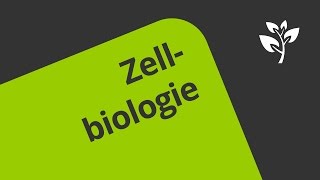 Die Geschichte der Zellbiologie  ein Überblick  Biologie  Cytologie [upl. by Clawson]