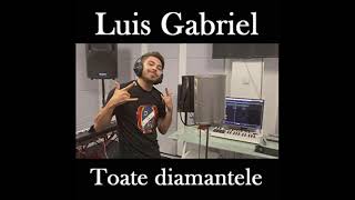 Luis Gabriel  Toate diamantele ManeleTech Remix [upl. by Vevina]