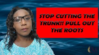 STOP CUTTING THE TRUNK ‼️ PULL OUT THE ROOTS [upl. by Alemahs449]