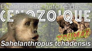 Sahelanthropus tchadensis dit Toumaï  Paléontologie  Simplex Paléo [upl. by Aurelio]