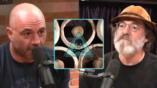 The Paul Stamets Portobello Mushroom Incident On The JRE Podcast  Joe Rogan [upl. by Adok]