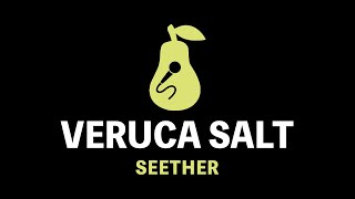 Veruca Salt  Seether Karaoke [upl. by Rufe42]