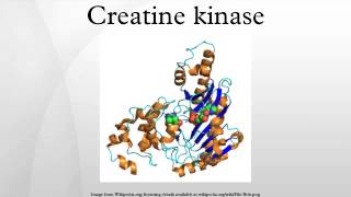 Creatine kinase [upl. by Corotto]