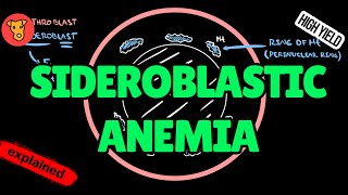 SIDEROBLASTIC ANEMIA Pathogenesis of clinical symptoms Etiology Treatment for USMLE [upl. by Alleram333]