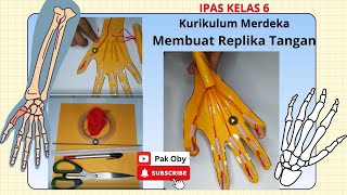 Membuat Replika Tangan  IPAS Kelas 6 Kurikulum Merdeka [upl. by Simonette727]