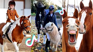 The Cutest HORSES  Equestrian TikTok Compilation 51 [upl. by Rokach834]