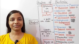 Shapes of Bacteria  coccus  bacillus  comma shaped  spiral shaped [upl. by Bobine]