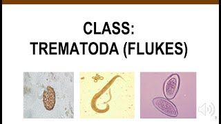 Trematodes [upl. by Zinah]