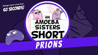 Prions  Amoeba Sisters Shorts [upl. by Roshelle]