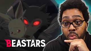 MOON AND BEAST  Beastars Season 1 Episode 1 REACTION [upl. by Leumhs36]