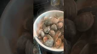 Part 2 Finished product clams in white wine [upl. by Joerg378]