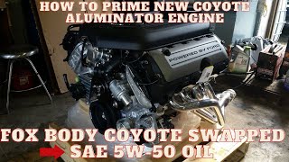 Ford 50L Coyote Engine priming it with 5W50 Motorcraft oil [upl. by Denver]