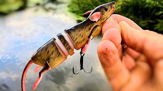 EPIC Pike Fishing with the Savage Gear 3D Rat Lure crazy hits [upl. by Kieryt796]