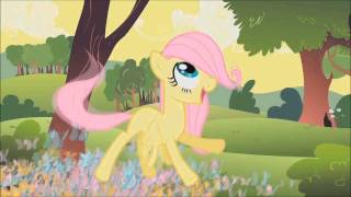 My Little Pony Fluttershy Song [upl. by Amor]