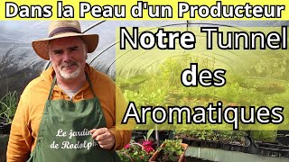 Immersion dans le Monde des Aromates [upl. by Sydelle]