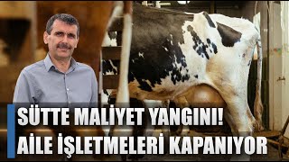 Sütte Maliyet Yangını quotBu Fiyatlara İnekler Kesilir Aile İşletmeleri Kapanırquot  AGRO TV HABER [upl. by Hennessey]