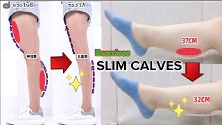 Top SLIM CALVES Exercises  Reduce Calves  have perfect calves amp legs at home [upl. by Mackenzie]