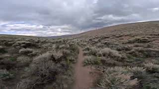 Signal Peak Trails  Mountain Biking in Gunnison Colorado [upl. by Schindler]