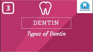 DENTIN TYPES OF DENTINSCLEROTICDEAD TRACTS [upl. by Peers]