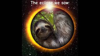 🦥🌞A Sloth Eclipse [upl. by Sirk]