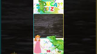 Qual Animal Consegue Andar Sobre a Água Descubra Aqui  Educa Quiz  08 educakidsbrasil [upl. by Lennod]