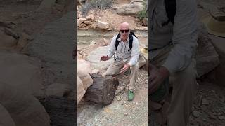 Giant fossil log of petrified wood 200 million years old fossil science [upl. by Breen791]