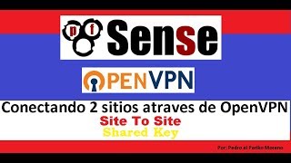 Video 13 Pfsense OpenVPN Site 2 Site Shared Key [upl. by Adnahsar757]