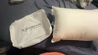 Lincove Canadian Down Pillow Great Support Various Firmness Review [upl. by Nett235]