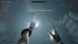 Alteration to Level 100 in NO TIME Very Easy  Magelight Glitch [upl. by Manard]