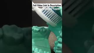 How to brush your teeth part 4  LINK IN DESCRIPTION MODIFIED BASS TOOTHBRUSHING TECHNIQUE Dentistry [upl. by Terryl]