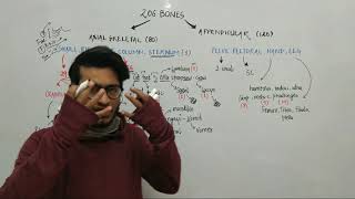 Trick to Learn all 206 Bones of Human Body Locomotion amp Movement Trick by Vipin Sharma [upl. by Valer]