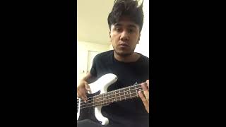 Piel De Seda BASS COVER [upl. by Demetria]