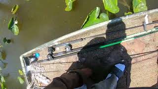 a great time catching crappie and bream at reelfoot lake [upl. by Nicola]