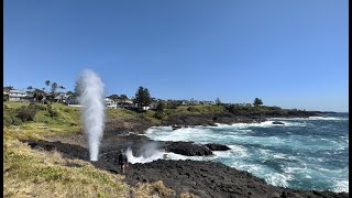 Kiama Coast Walk  Kiama to Gerringong [upl. by Nitsed183]