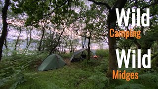 Tent n Tarp Wild Camping Wild Midges Scotland wildcamping scotland [upl. by Oirasec446]