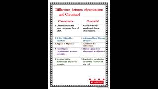 Difference between chromosome and chromatid [upl. by Oilerua692]