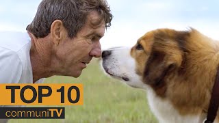 Top 10 Dog Movies [upl. by Euqinim]