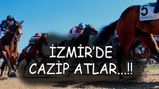 🔥CAZİP ATLAR🔥 19 EYLÜL PERŞEMBE İZMİR AT YARIŞI TAHMİNLERİ ve YORUMLARI [upl. by Lertsek]