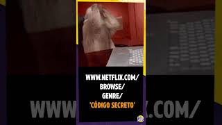 Códigos Secretos Netflix shorts [upl. by Ahsilrak680]