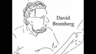 David Bromberg  Lonesome Roving Wolves [upl. by Renruojos]