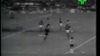 Botafogo 2 x 2 Flamengo Carioca 1975 [upl. by Pergrim]