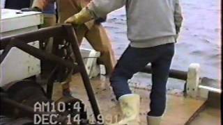 Dredging Oysters on the Skipjack Ida May 12141991 Part 2 [upl. by Marb437]