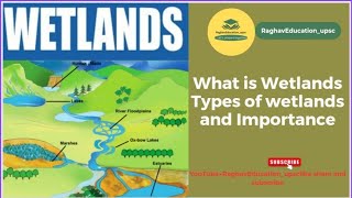 What is Wetlands ।। Types of Wetlands Environment [upl. by Corney]