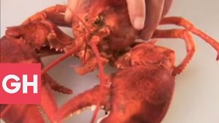 How To Cook Lobster  Good Housekeeping [upl. by Yila145]