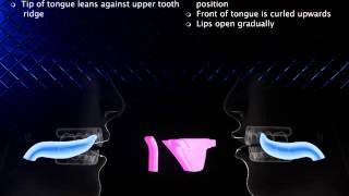 English pronunciation – Comparison –Consonants  l  vs  r – Phonetics – IPA [upl. by Anoblav385]