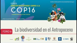 FORO 9  La biodiversidad en el Antropoceno [upl. by Enyawd]