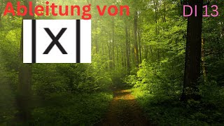 Ableitung von Betrag von x DI 13 [upl. by Aniluap]