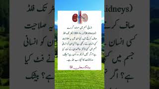 Part92 quotes urdu poetry explore viralvideo youtubeshorts [upl. by Laehctim661]